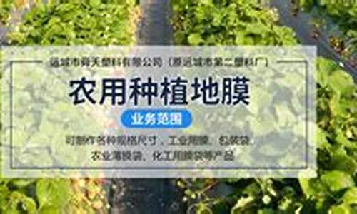 标题：专业菠菜导航官网LOL游戏推荐