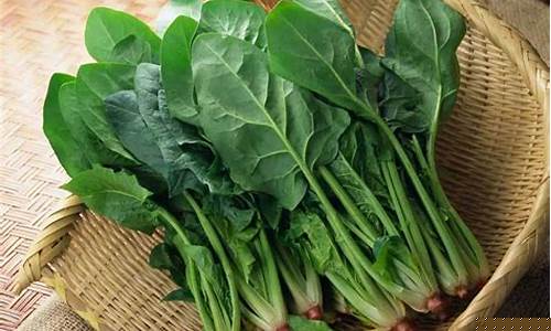 线上菠菜注册指南