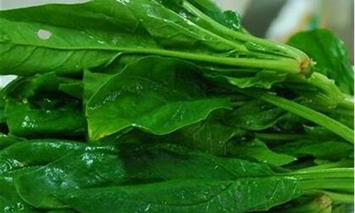 英雄联盟菠菜:1. 什么是LOL游戏?