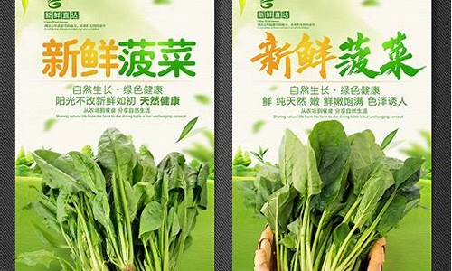 新2会员登录大全:菠菜LOL游戏大揭秘
